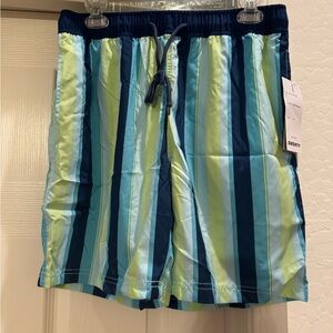 NWT Men's Striped Swim Trunks - Blue and Green